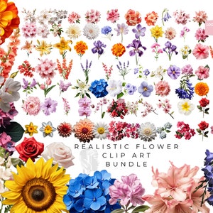 Realistische bloem clipart-png-bundel met meer dan 100 afbeeldingen!