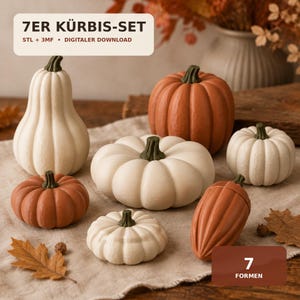 Puede incluir: Un conjunto de siete calabazas decorativas de diversas formas y tamaños, con superficies lisas en blanco y naranja y tallos de color verde oscuro. La imagen incluye el texto 7ER KÜRBIS-SET, STL + 3MF, DIGITALER DOWNLOAD y 7 FORMEN.