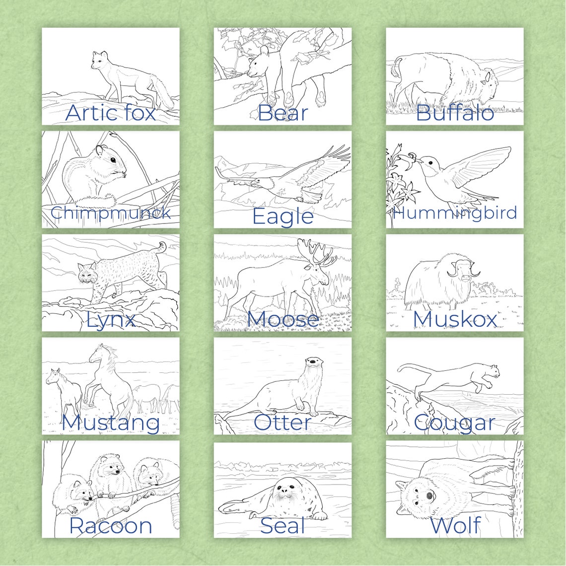North American Animals Coloring Pages 15 Pictures to Download and Print