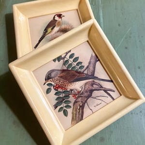 May include: Two framed bird prints. One print features a bird with a red head and black and yellow wings. The other print shows a bird perched on a branch with red berries. The frames are a light cream color.