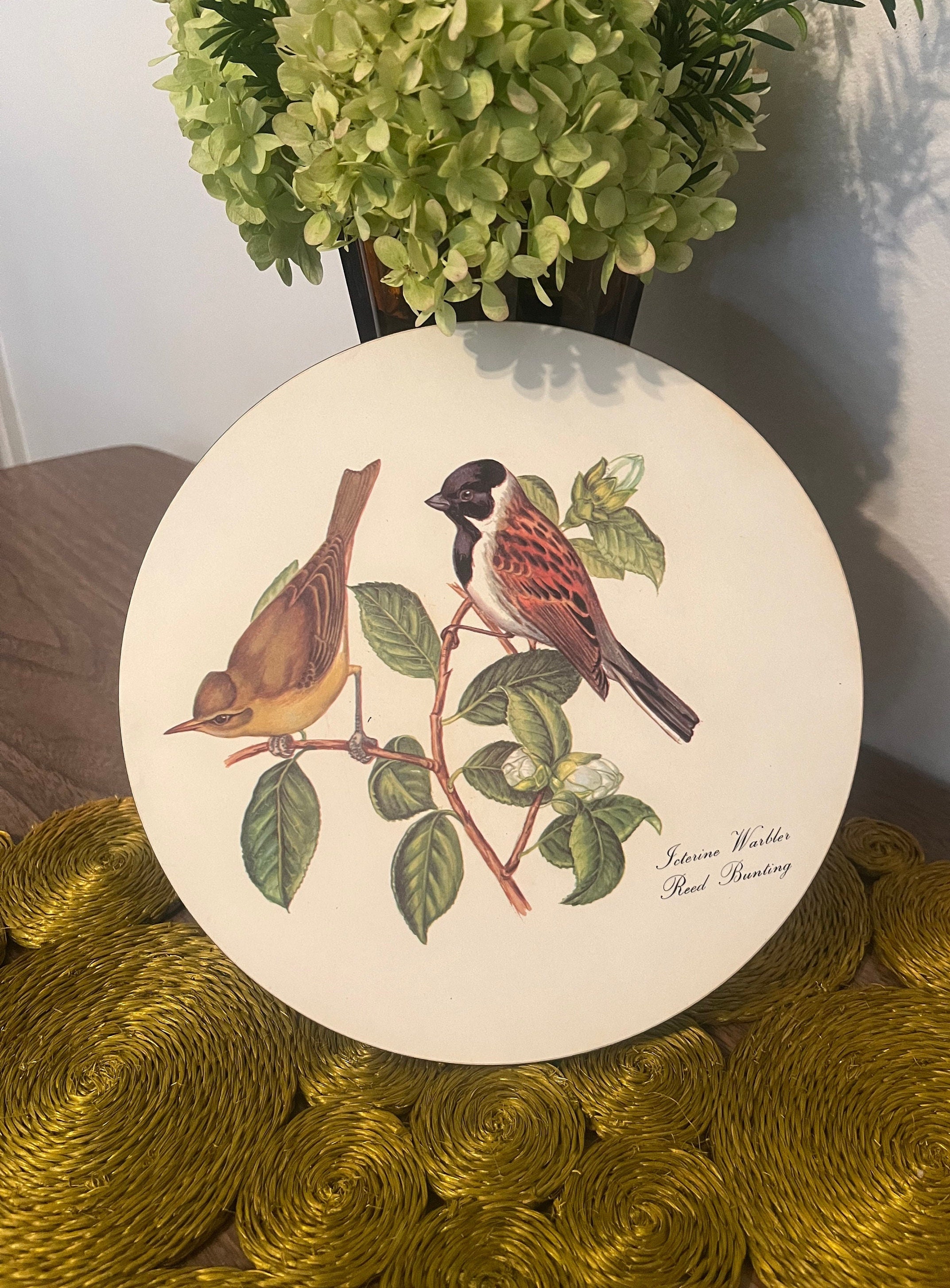 Lady Clare Placemats - Etsy