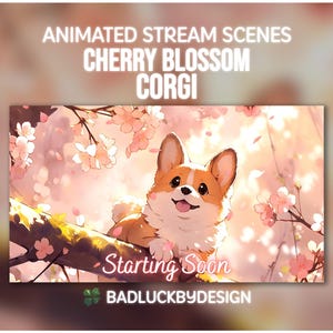 Animated Corgi Puppy Stream Scenes - Anime Cherry Blossom Twitch Screens | Vtuber Background | Instant Download