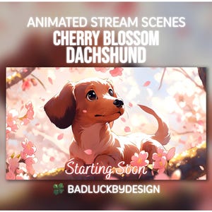 Animated Dachshund Puppy Stream Scenes - Anime Cherry Blossom Twitch Screens | Vtuber Background | Instant Download