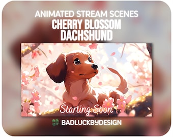 Geanimeerde streamscènes voor teckelpuppy's - Anime-trekschermen kersenbloesem | Vtuber-achtergrond | Direct downloaden