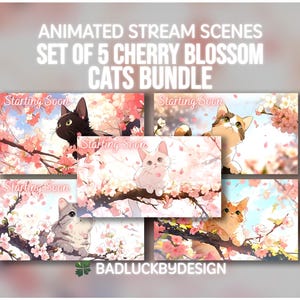 Set of Animated Cherry Blossom Cat Scenes - Calico Tabby Kitten Twitch Screens (Digital Download)