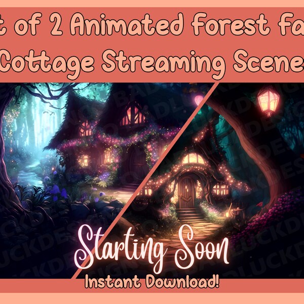 obs stream setup obs stream setup
