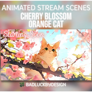 Cute Orange Cat Anime Stream Scenes, Cherry Blossom Kitten Twitch Screens Pack, Animated Starting Soon, BRB, Just Chatting, Offline, Ending