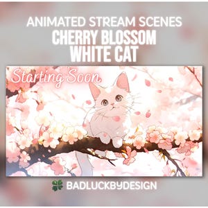 Animated White Cat Stream Scenes - Cherry Blossom Anime Twitch Screens | Vtuber Background | Instant Download