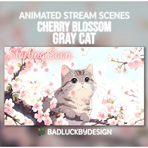 May include: An animated stream scene featuring a gray cat perched on a branch with cherry blossoms. The words "Starting Soon" are displayed in a cursive font, with the text "Animated Stream Scenes Cherry Blossom Gray Cat" at the top.