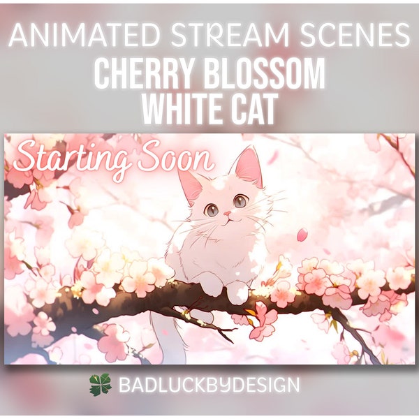 Série Cherry Blossom Kitty - Chat blanc | Écrans Twitch animés | Joli chaton floral Sakura | Débutant/finissant bientôt, soyez de retour, hors ligne