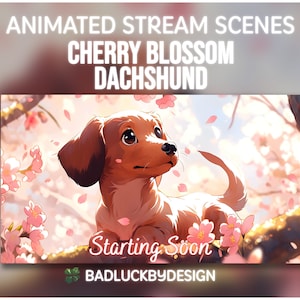 Dachshund Cherry Blossom Puppy Animated Stream Scenes | Cute Floral Twitch Screens Pack | Starting/Ending Soon, BRB, Just Chatting, Offline