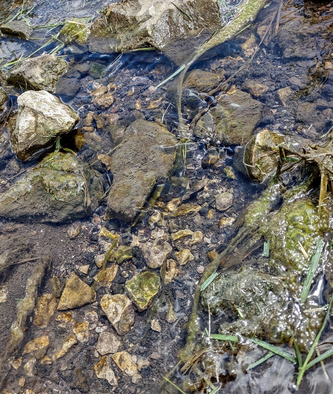 Clear Flowing Stream With Rocks and Moss - Etsy