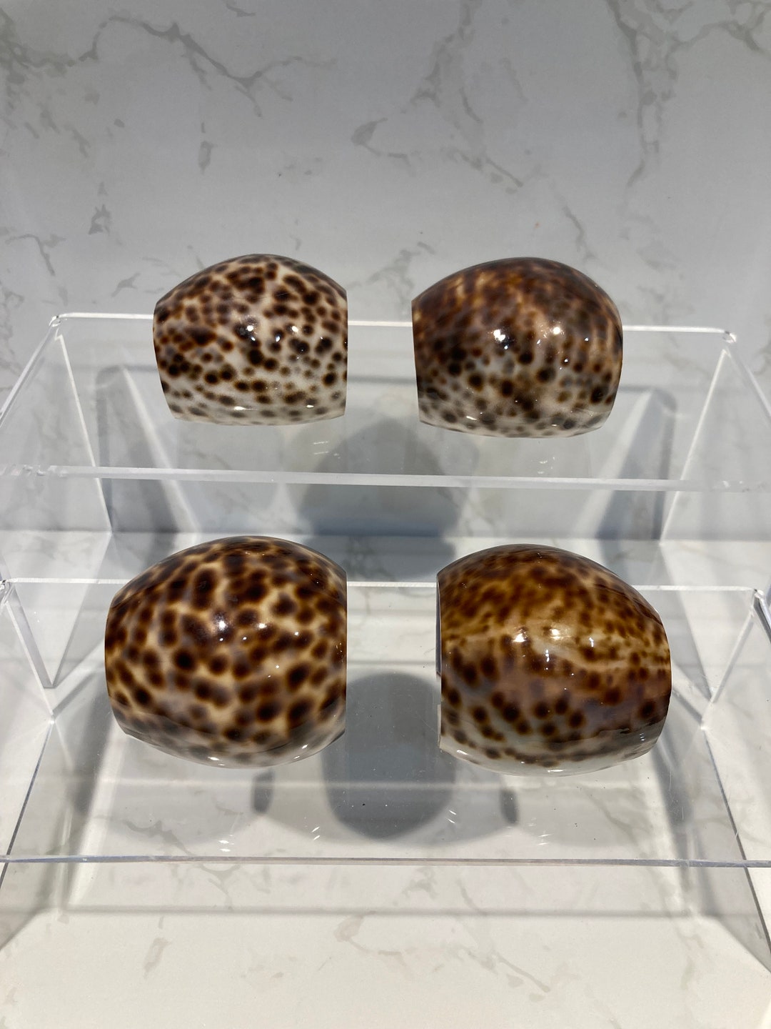 Tiger Cowrie Shell Napkin Rings. Set of 4. Beach Coastal Decor, Vintage ...