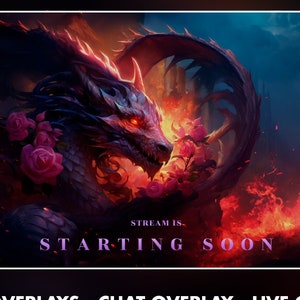 Dragon female twitch overlay animated pack - mythological fantasy fire background stream - screens - Chat, live and cam overlays - panels