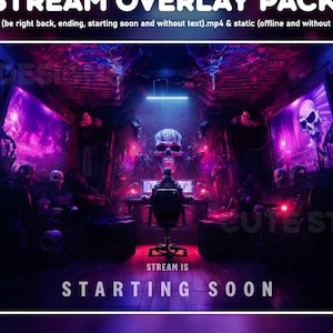 Goth twitch overlay animated - Gamer pink and blue neon skull screens perfect for your stream - Shooter cod background Vtuber looped