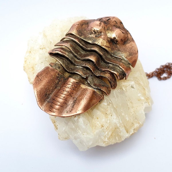 Trilobite Shape Fossil Copper Pendant | Prehistoric Ocean Life Necklace | Earth Geological Jewelry | Pendant with Chain | Handmade Necklaces