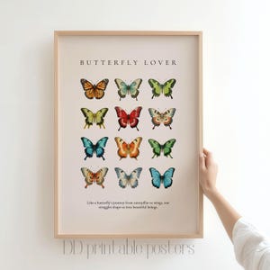 Watercolor Butterfly Print, Butterfly Wall Art, Butterfly Poster, Vintage Butterfly Print, Neutral Wall Decor, Antique Butterfly Drawing