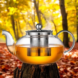 May include: A clear glass teapot with a stainless steel infuser and lid, filled with amber-colored tea. The teapot has a curved handle and spout. Steam rises from the tea. The background features a blurred view of a forest with yellow and orange foliage.