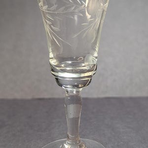 May include: Clear glass cordial glass with etched floral design. The glass has a flared bowl, a short stem, and a round base. The etched design features leaves and oval shapes. The glass is likely used for serving small portions of liquor or dessert wine.