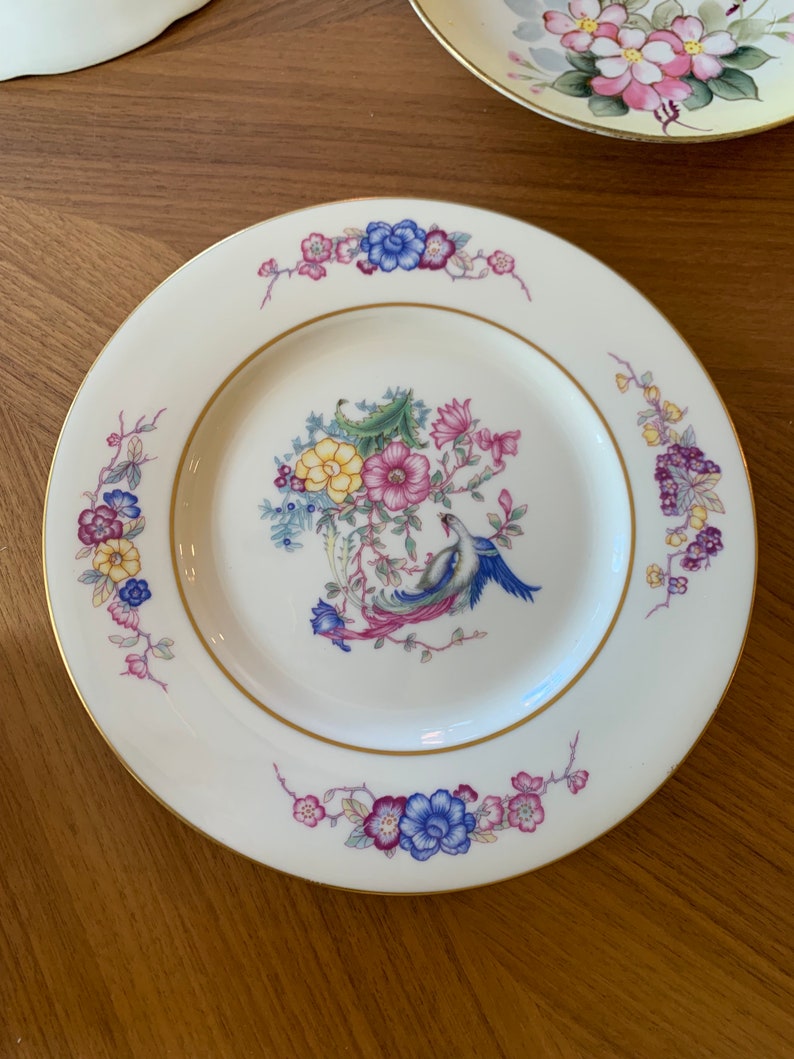 Cottagecore Colorful Floral Plate Wall Set, 8 Eclectic Plate Collection ...