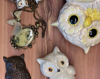 Vintage Owl Lover Gift Box - Owl Necklace - Owl Wall Hook and 3 Owl Ceramic Figurines - Owl Lover Valentine Gift