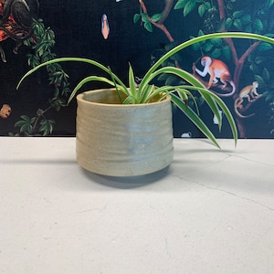Miniature Tan Speckled Planter, Mini Flower Pot, Small Herb Planter, Mini Herb Pot, Indoor Planter, Indoor Flower Pot