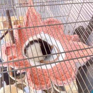 Patrón de hamaca de ganchillo para ratas Accesorios para animales pequeños Cama Hurones Petauros del azúcar PDF Cobaya