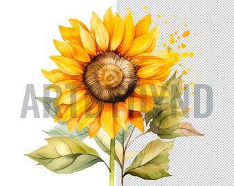 Sunflower Background Png Sublimation Design,Sunflower Png, Hand Drawn Sunflower Png, Sunflower Clipart Png, Sunflower Png Digital Download