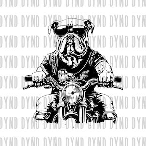 Motocycle Bulldog SVG, Motocycle SVG, English Bulldog Mom, Bulldog Silhouette, Peeking Bulldog, Bulldog Lovers, Cricut, Silhouette