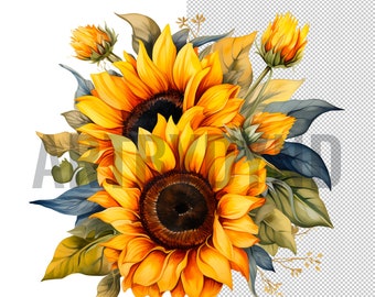Sunflower Background Png Sublimation Design,Sunflower Png, Hand Drawn Sunflower Png, Sunflower Clipart Png, Sunflower Png Digital Download