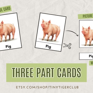 18 Farm Animals Cards, Montessori Flash Cards, Preschool Flashcards ...