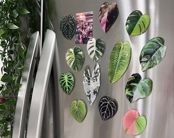 Rare Plant Magnet - 1 pc - Plant Gifts - Plant Parent - Monstera Fridge Magnets - Gloriosum - Anthurium - Houseplant Magnets