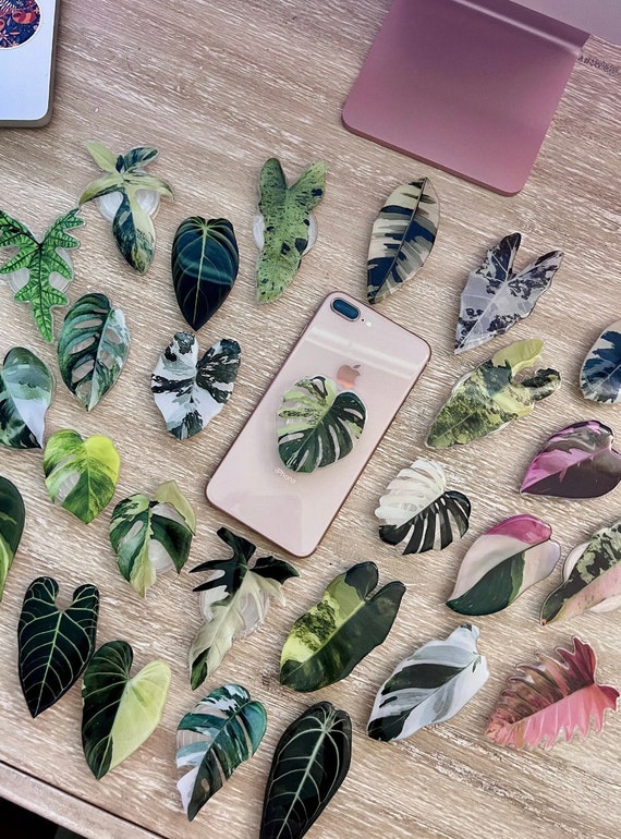 Rare Plant Phone Grip - Monstera Phone Stand - iPhone Accessories - Rare Plant - Gloriosum - Phone Ring - Phone Grip