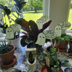 Planter-geist