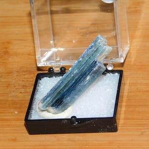 Puede incluir: Un espécimen de cristal de cianita azul en una caja de exhibición de plástico transparente con acolchado de espuma blanca.