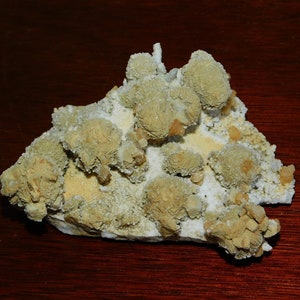 May include: A cluster of light green and white mineral formations, resembling small, rounded mounds, on a rough, white base. The mineral specimen has a natural, earthy appearance.