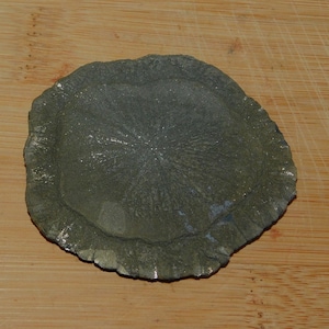 May include: A round, flat, gray-green pyrite mineral with a radial pattern of crystals. The mineral has a rough, textured surface and a slightly metallic sheen.
