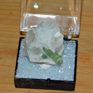 Elbaite (Tourmaline) Crystal Thumbnail Mineral Specimen