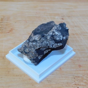 Könnte beinhalten: Ein dunkelgrauer Stein mit weißen Flecken, auf einem weißen quadratischen Sockel ausgestellt.