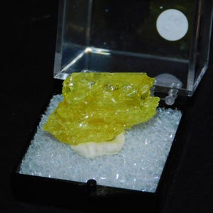 May include: A bright yellow sulfur crystal specimen displayed in a clear plastic case with a black base. The sulfur crystal has a translucent, glassy appearance and rests on a white base within the case.
