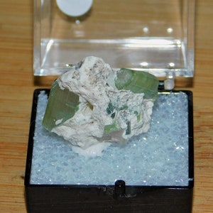Elbaite (Tourmaline) Crystals Thumbnail Mineral Specimen
