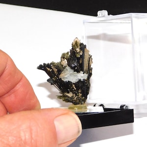 Könnte beinhalten: Ein Mineralpräparat mit einem Cluster aus dunkelgrünen und schwarzen Kristallen mit einer weißen und hellbraunen Matrix. Die Kristalle werden in einer transparenten Kunststoffbox mit schwarzem Sockel präsentiert.