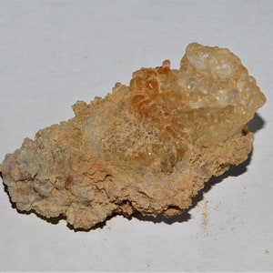 Puede incluir: Un cúmulo de ópalo translúcido marrón claro con una superficie rugosa y texturizada. El ópalo está engastado en una matriz de roca marrón y gris.