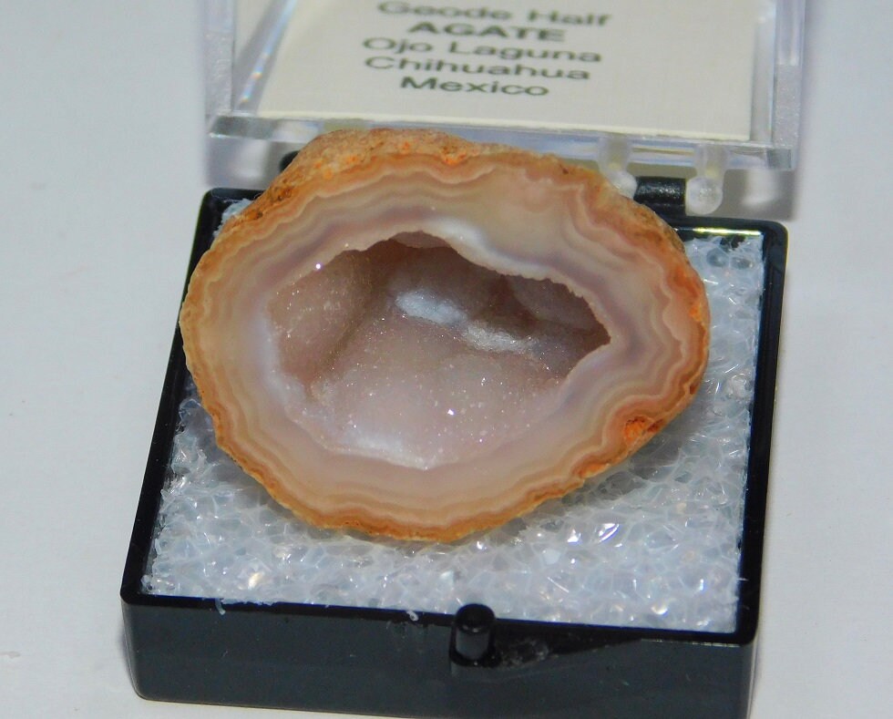 Xenotime - Etsy 日本