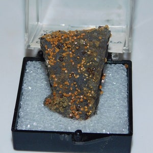 May include: A small, dark gray rock with a rough surface covered in tiny, orange crystals. The rock is displayed in a black and white display box.