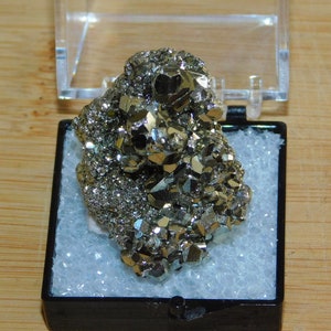 Pyrite Crystals Thumbnail Mineral Specimen