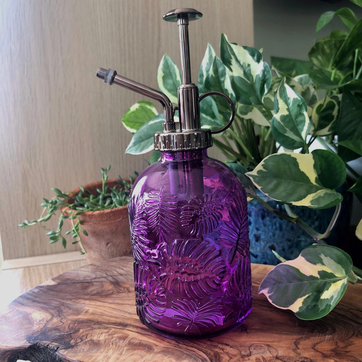 Monstera Leaf Embossed Glass Mister - Etsy
