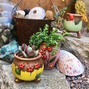 May include: A collection of decorative ceramic pots, a rusty metal bucket, and a seashell. The pots are filled with succulents and other plants. The pots are painted with bright colors and floral designs. The bucket contains rocks and other natural elements.