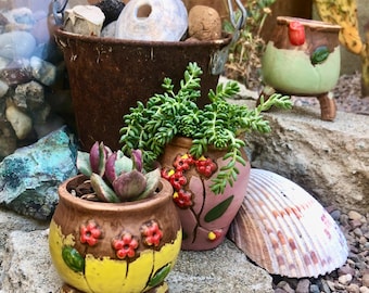 Rustic Little Succulent Pots