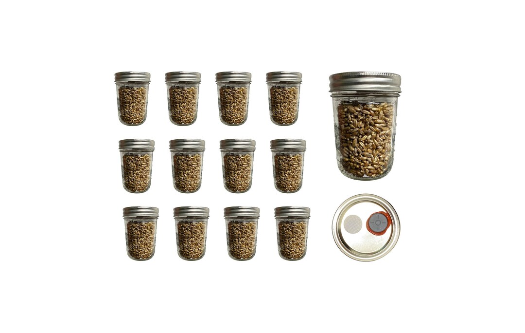 Rye Berry Grain Jars. 1/2 Pint. Etsy